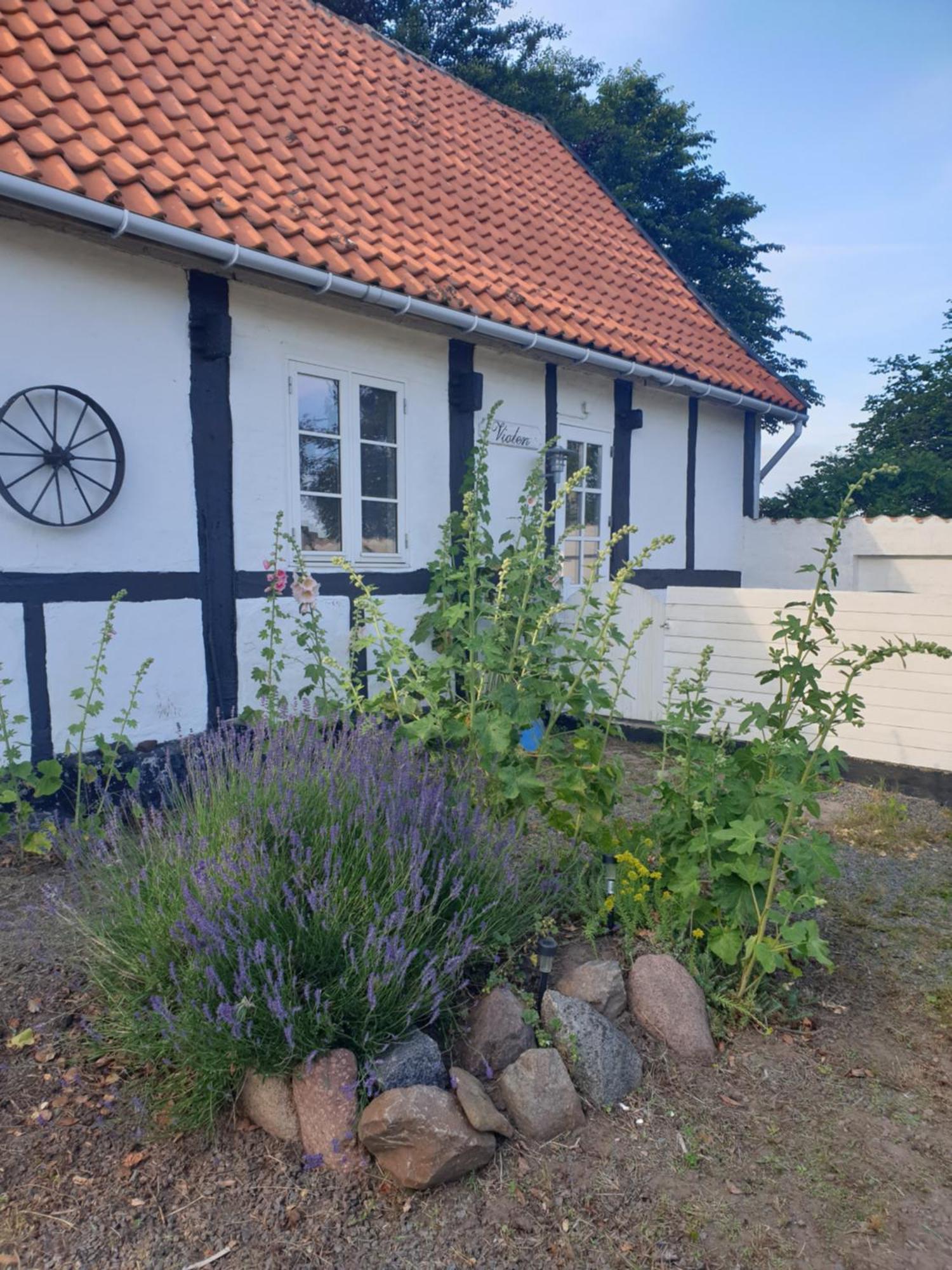 Violen Apartment Akirkeby Exterior photo